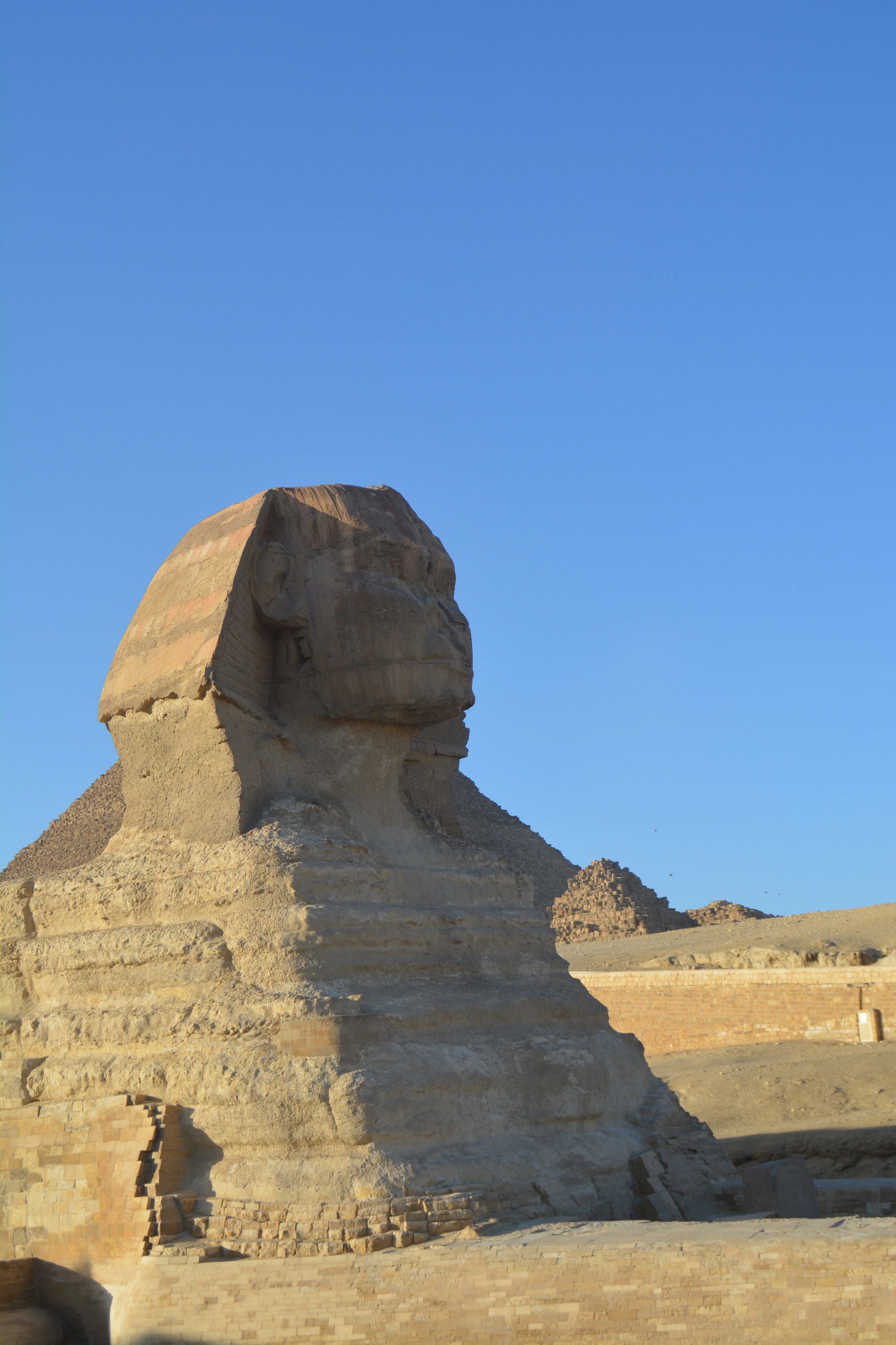 Fonds marins de la mer Rouge avec coraux et poissons colorés