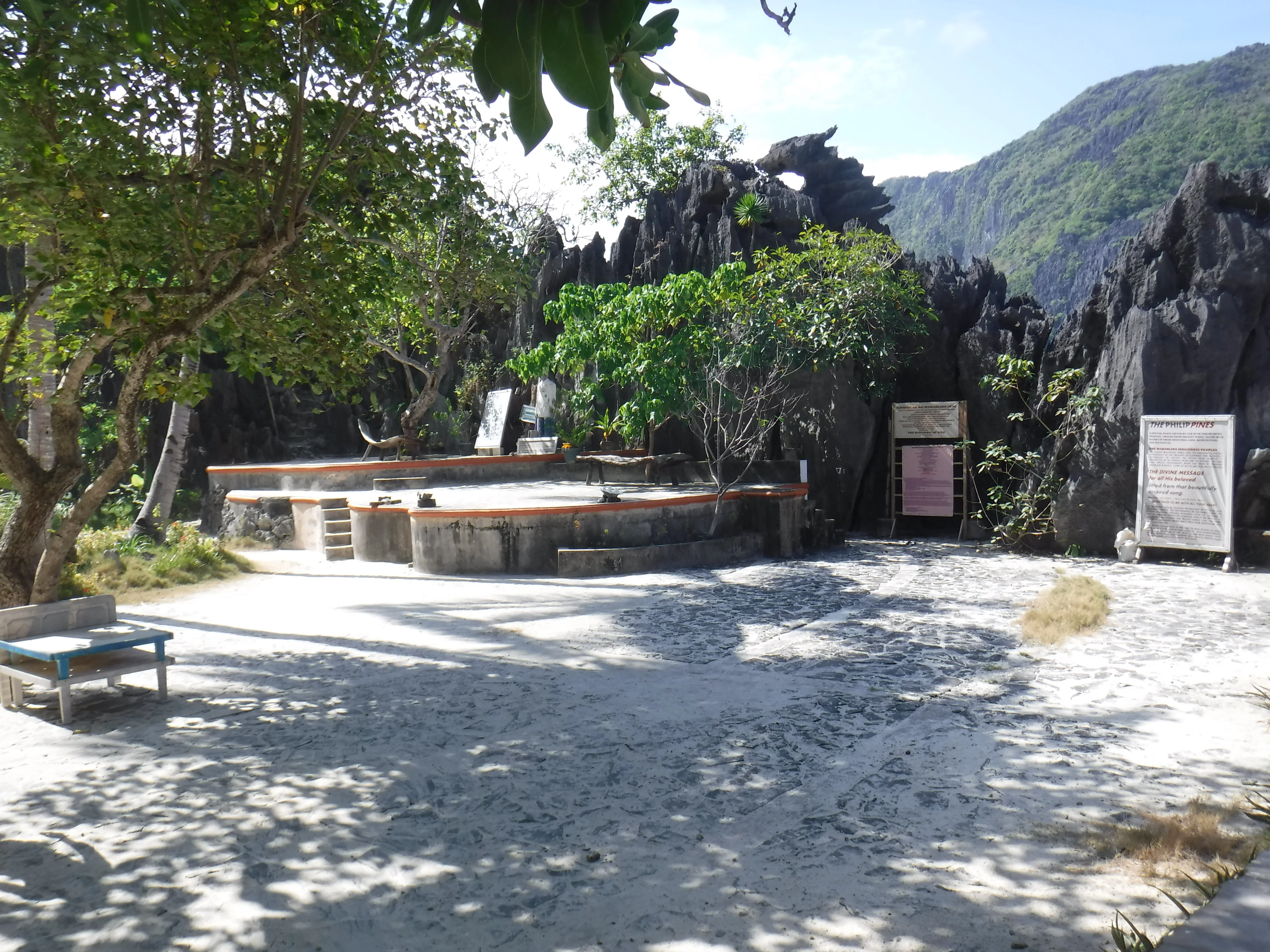 Palmiers sur une plage tropicale