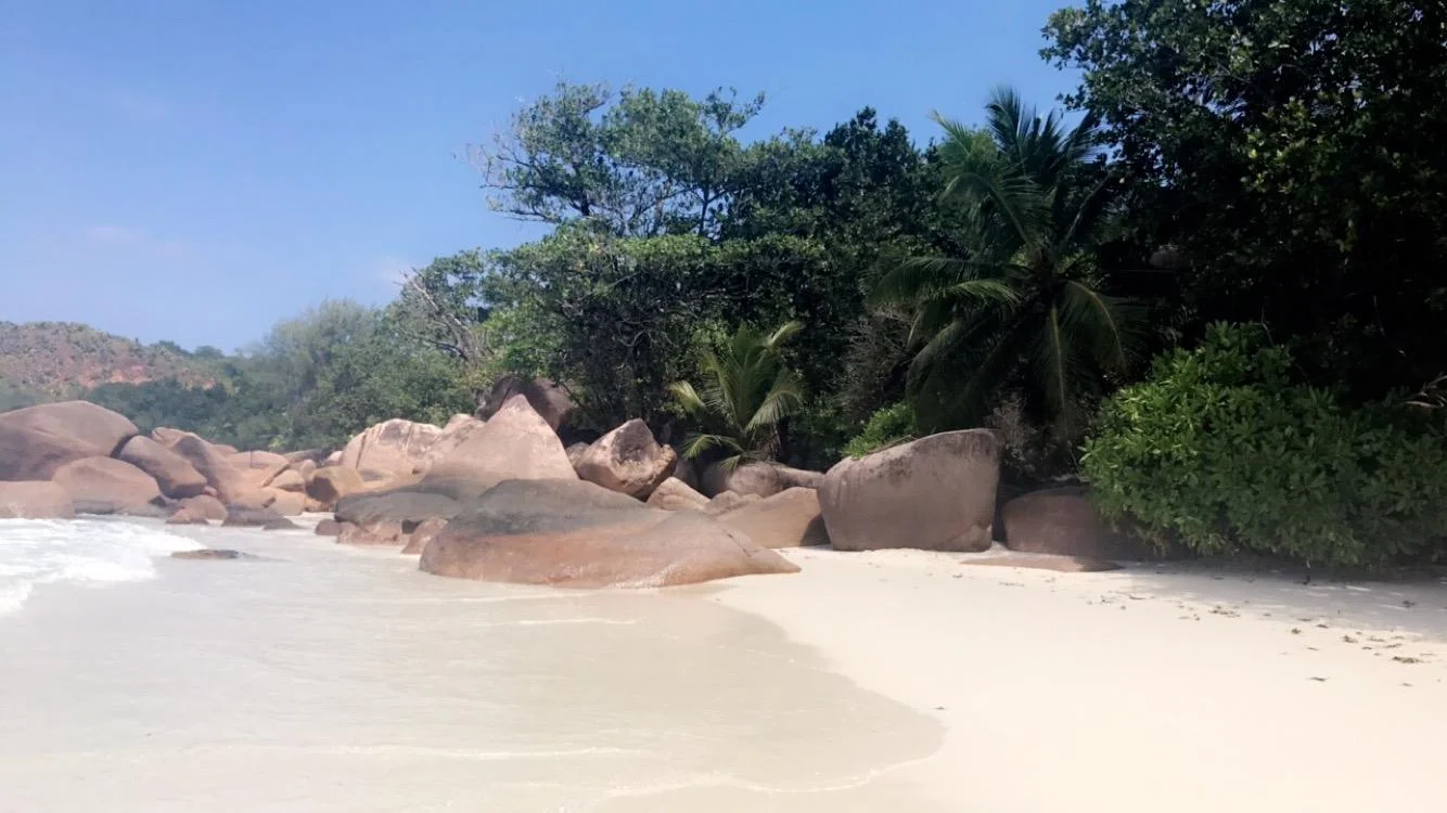 Anse Lazio à Praslin, l'une des plus belles plages du monde