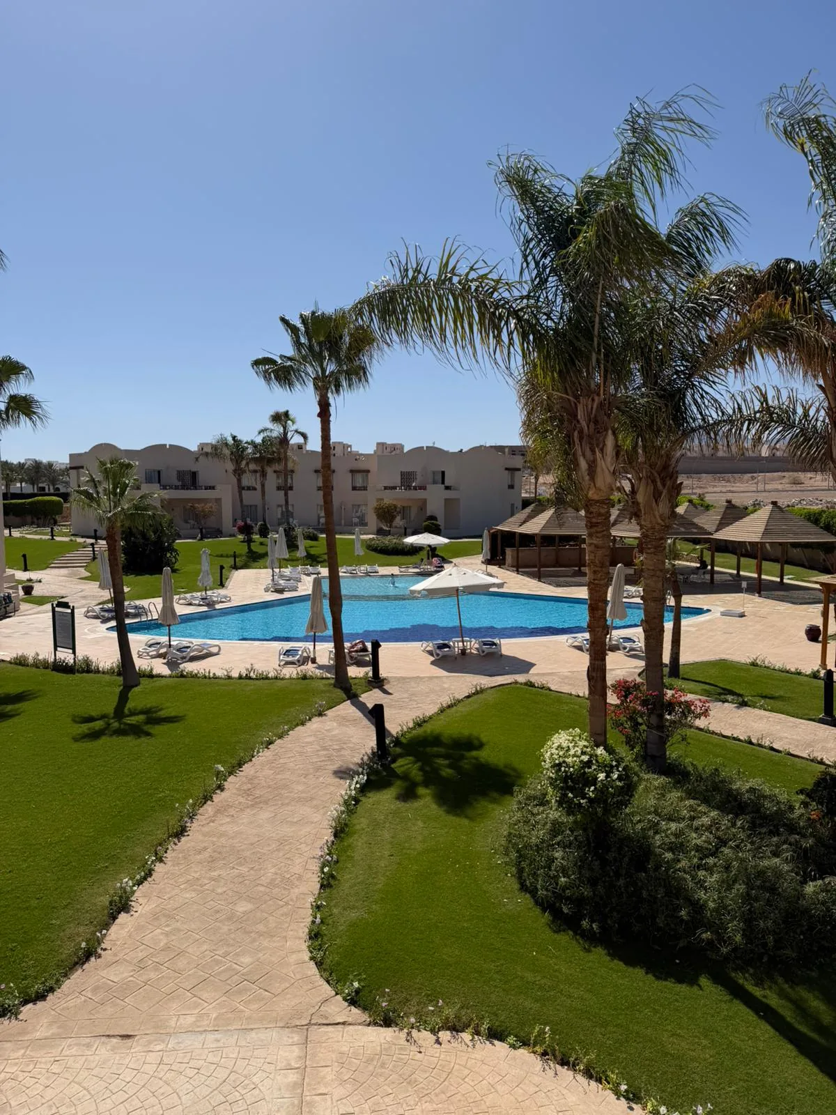 Piscine ovale Park Side du Naama Bay Promenade Resort entourée de palmiers, gazon entretenu et bungalows blancs en arrière-plan, vue depuis un balcon de chambre